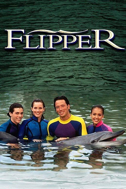 Flipper dizi afişi
