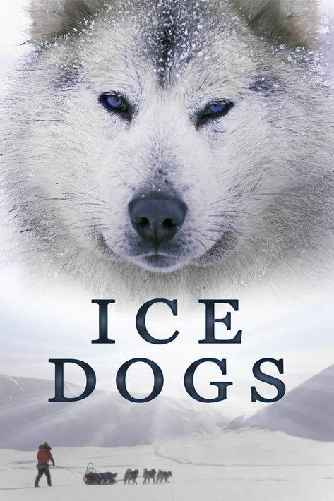 Ice Dogs: The Only Companions Worth Having film afişi