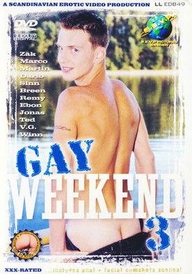 Gay Weekend 3 film afişi