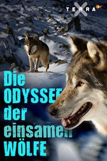 Die Odyssee der einsamen Wölfe film afişi
