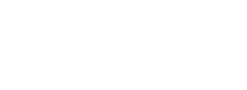 The Bouncer logo