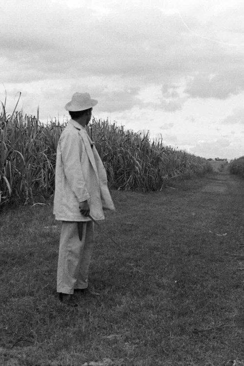 A Gavillero in the Sierra film afişi