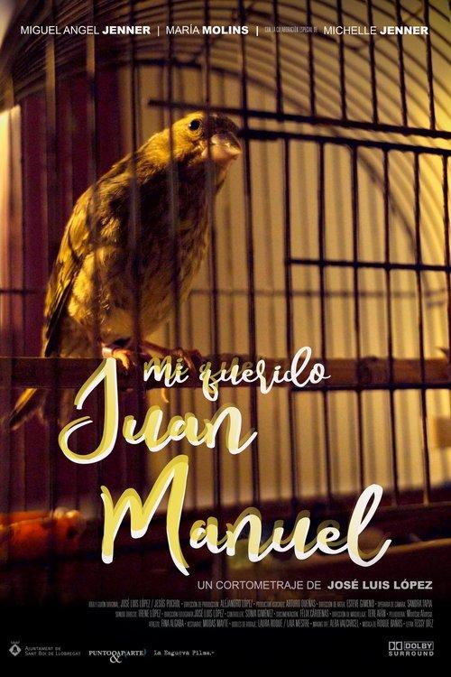 Mi querido Juan Manuel film afişi