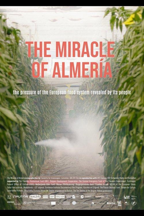 The Miracle of Almería film afişi