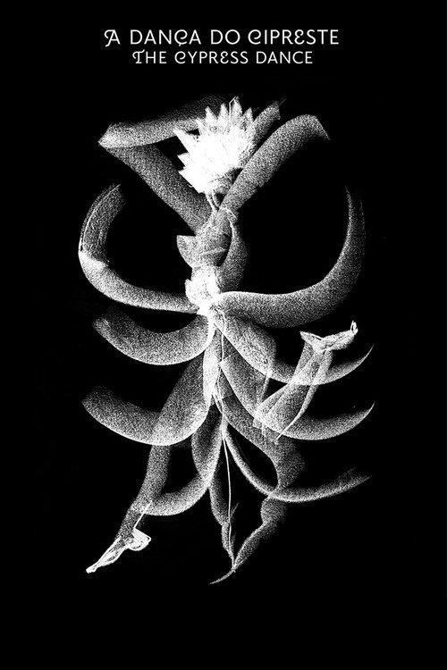 The Cypress Dance film afişi