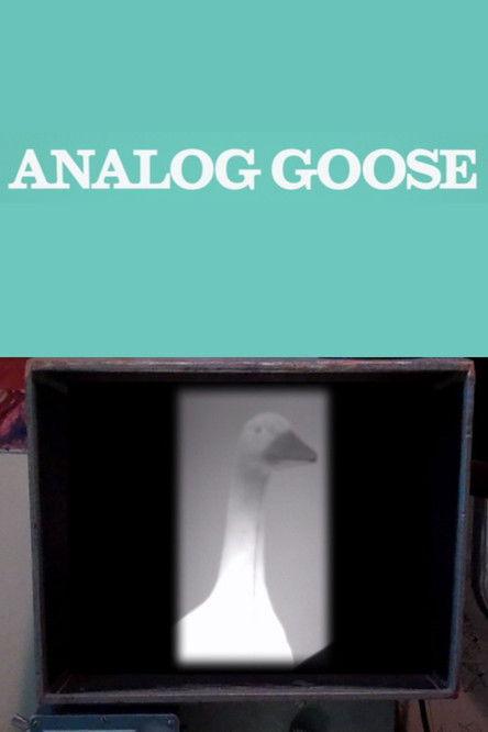 Analog Goose film afişi