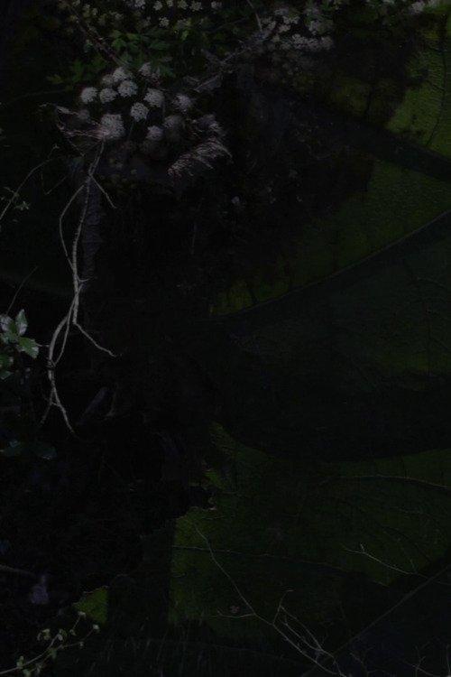 Lost Gardens film afişi