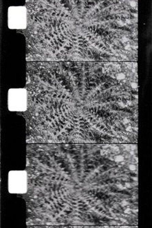 Le printemps film afişi