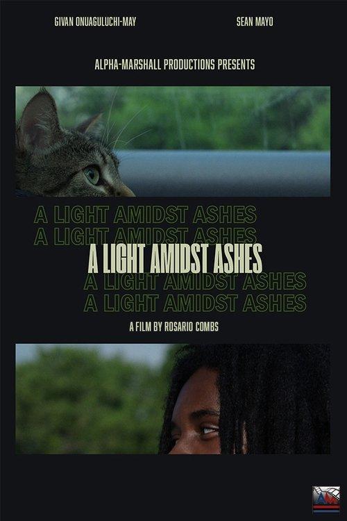 A Light Amidst Ashes film afişi