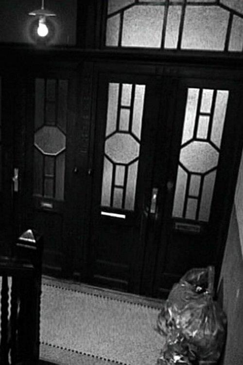 The Neighbor film afişi