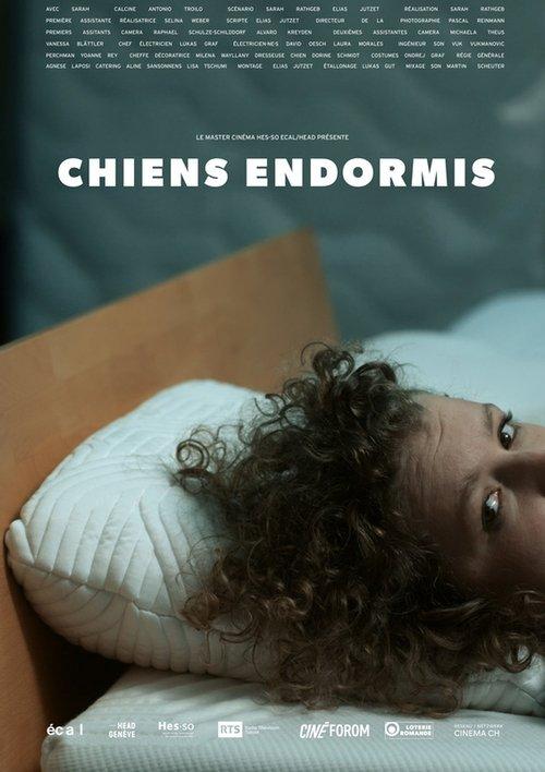 Chiens endormis film afişi