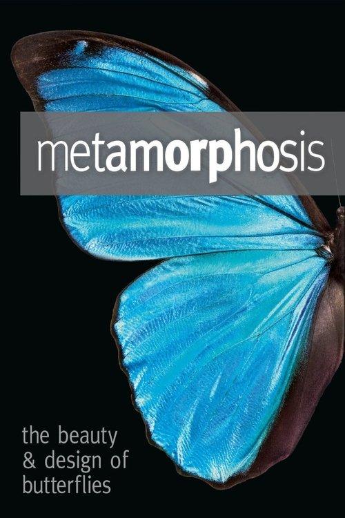 Metamorphosis: The Design and Beauty of Butterflies film afişi