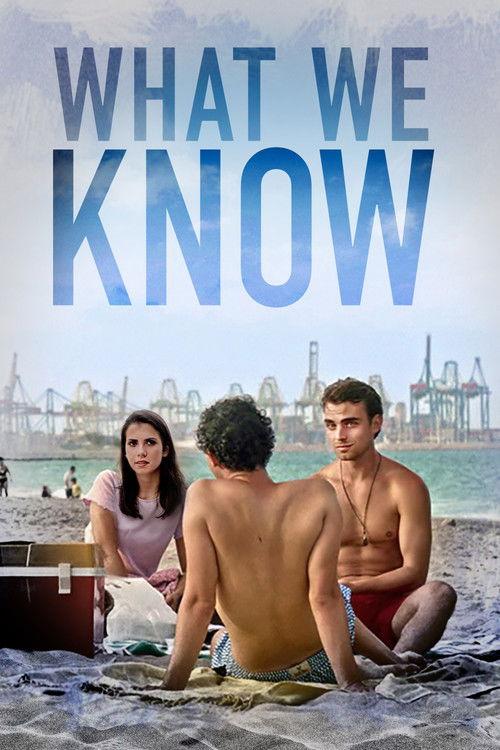 What We Know film afişi