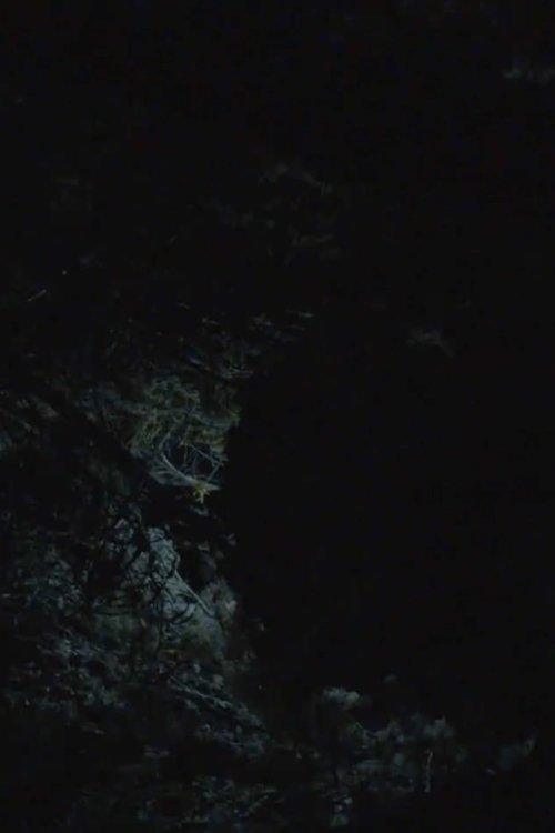 All the Planets in My Heart film afişi