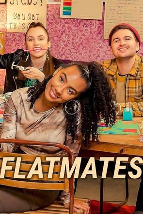 Flatmates dizi afişi