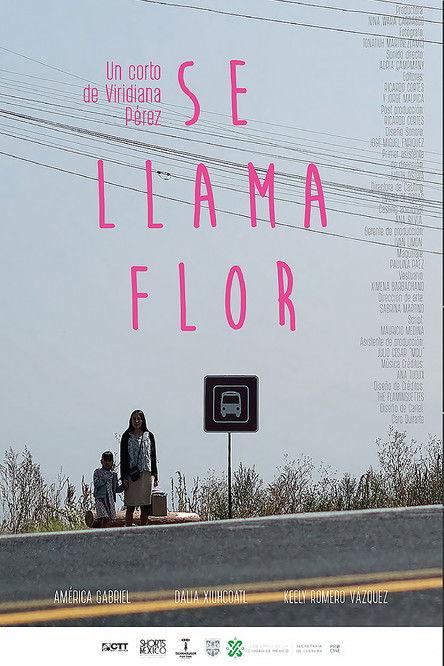 Her Name Is Flor film afişi