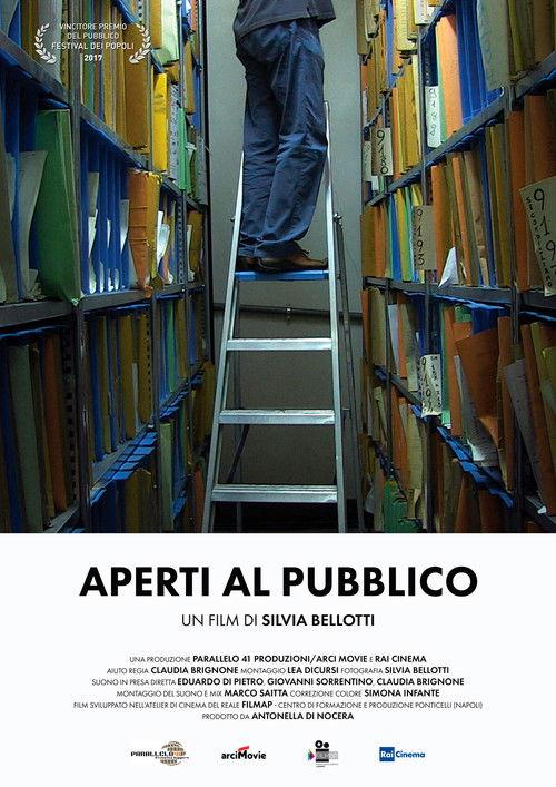 Open to the Public film afişi