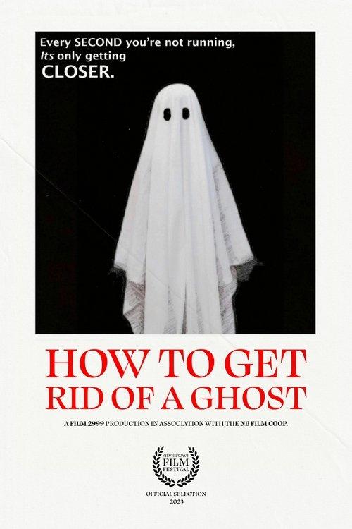 How To Get Rid of a Ghost film afişi