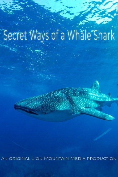 Le long voyage d'un requin-baleine film afişi