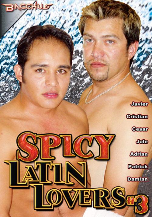 Spicy Latin Lovers 3 film afişi