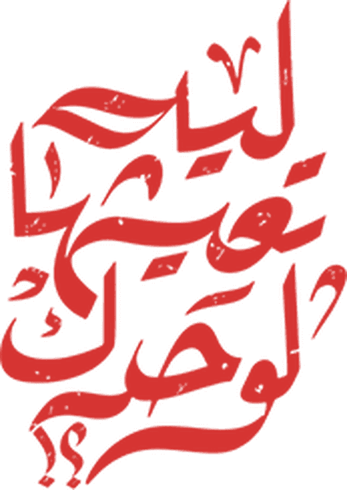 Why Live It Solo?! logo