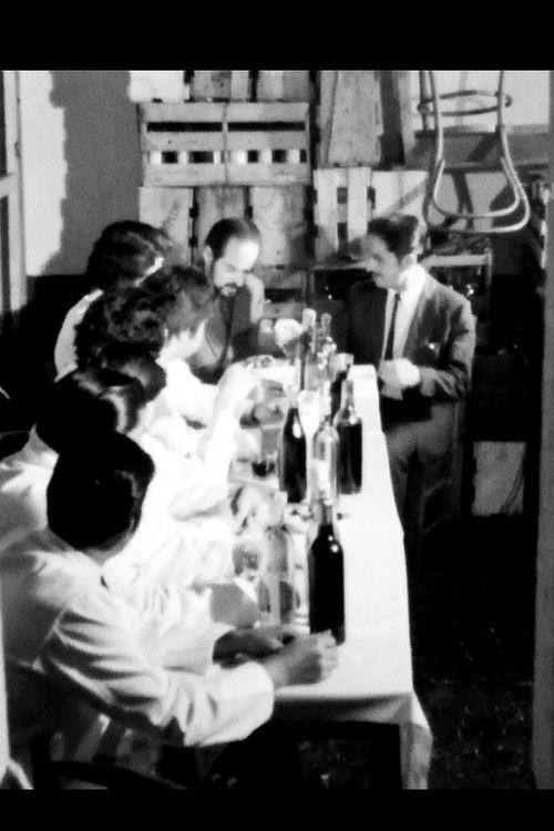 Vías paralelas film afişi