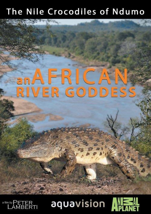 River Dragons of Ndumo film afişi