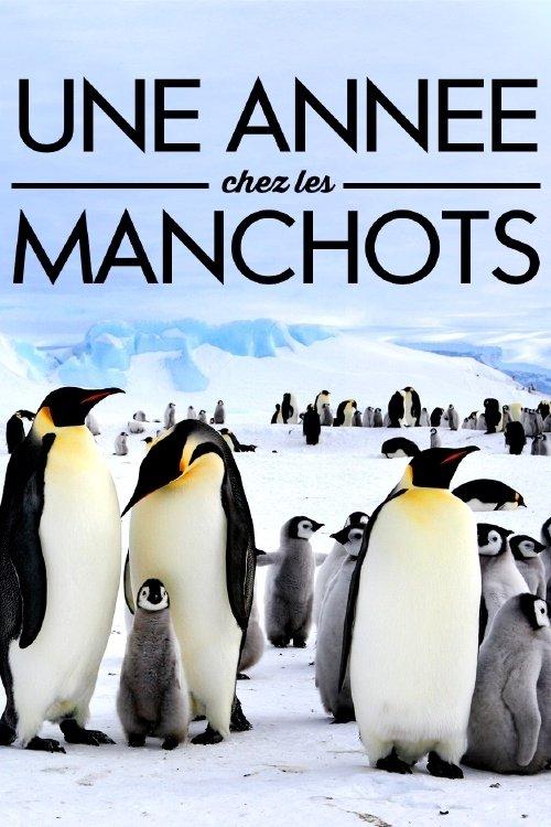 A Year With the Penguins film afişi