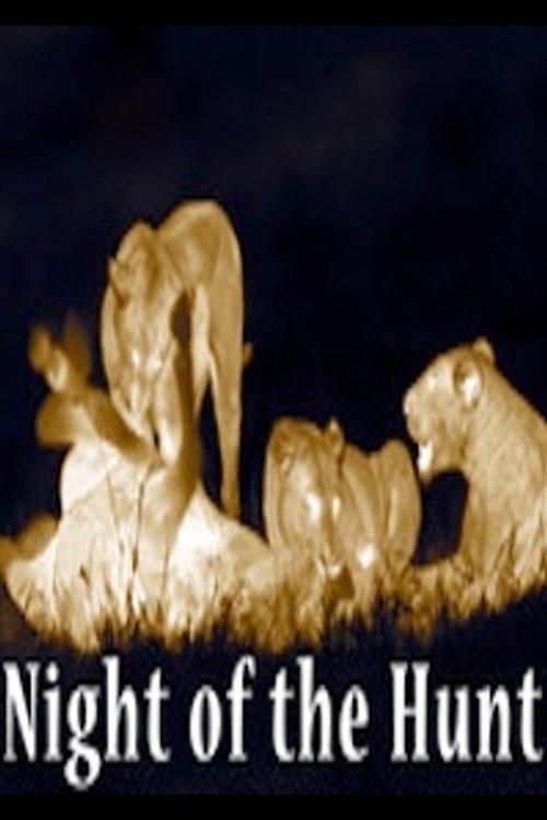 Night of the Hunt film afişi
