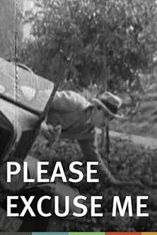 Please Excuse Me film afişi