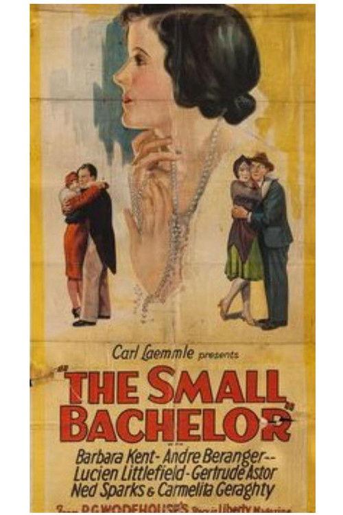 The Small Bachelor film afişi