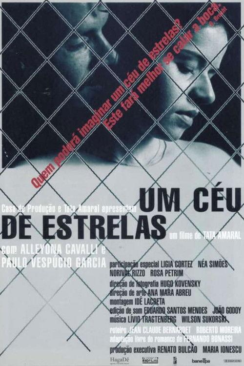 A Starry Sky film afişi