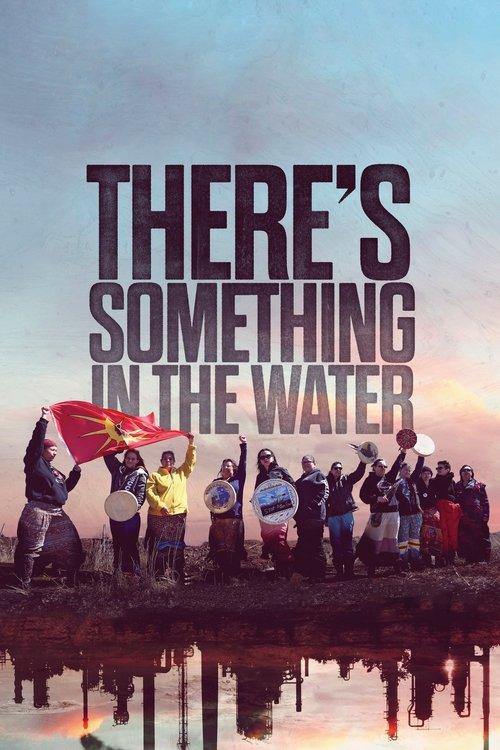 There's Something in the Water film afişi