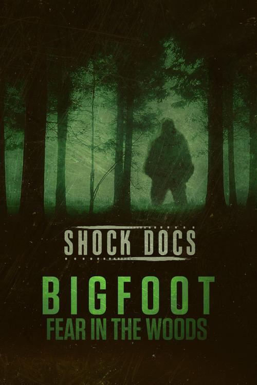 Bigfoot: Fear in the Woods film afişi